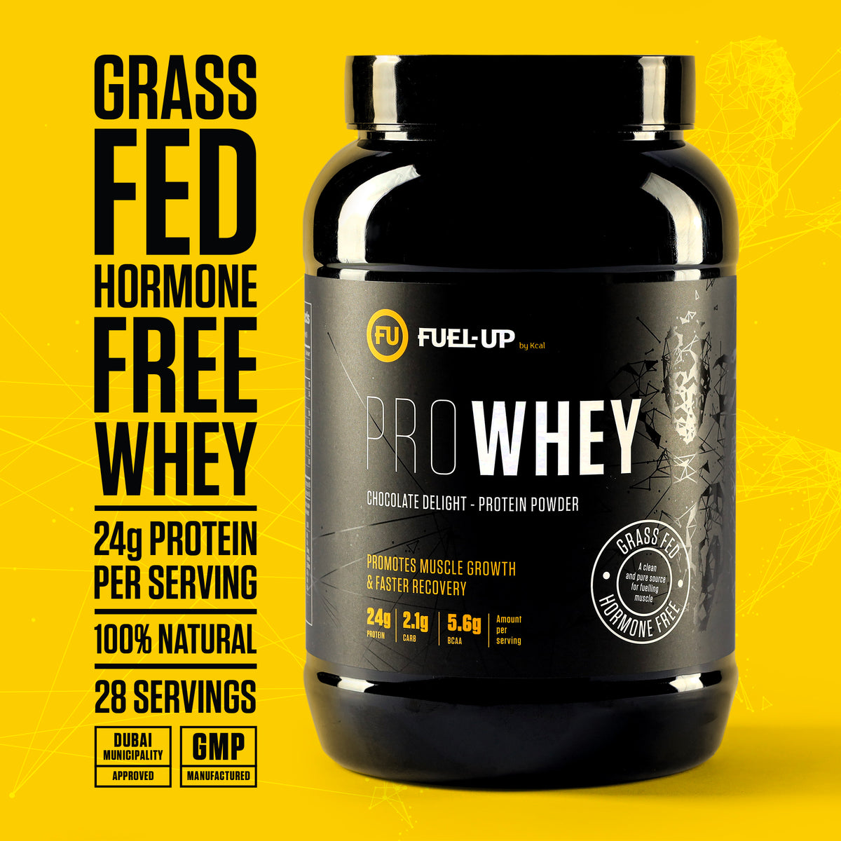 Pro Whey Protein - Chocolate Delight - 907 g (2 lbs)