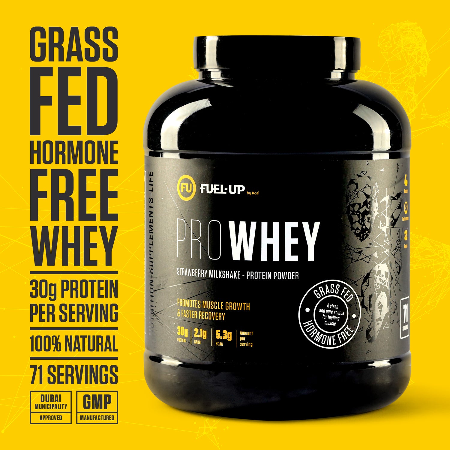 Pro Whey Protein - Strawberry Milkshake - 2.2 kg (5 lbs)