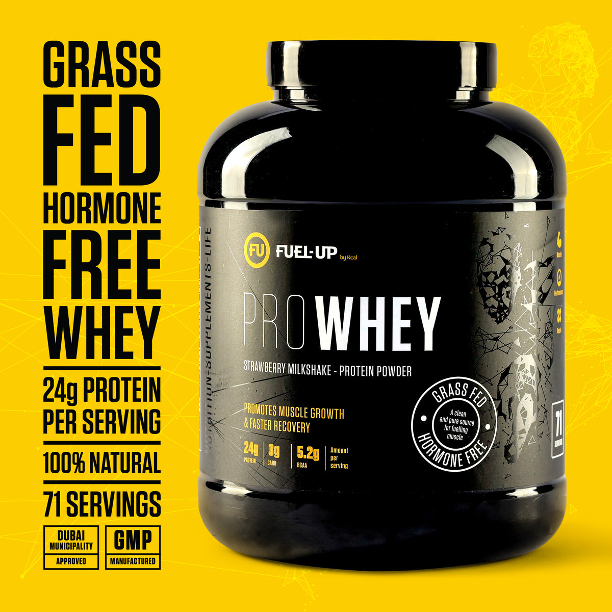 Pro Whey Protein - Strawberry Milkshake - 2.2 kg (5 lbs)