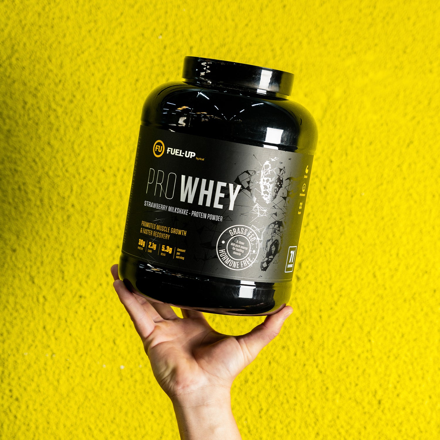 Pro Whey Protein - Strawberry Milkshake - 2.2 kg (5 lbs)