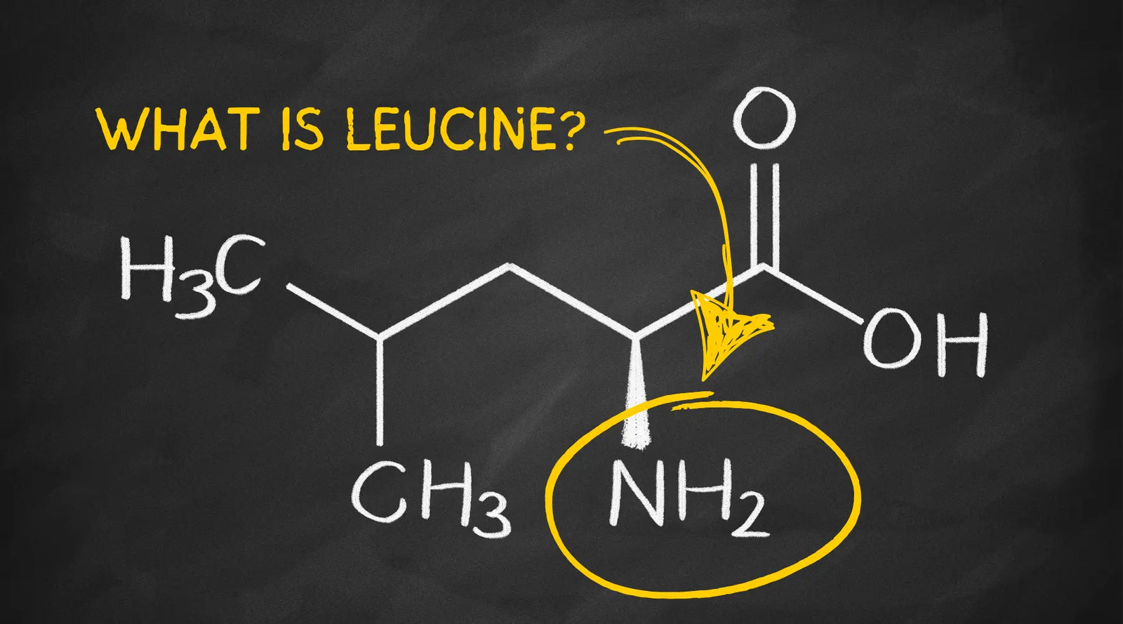 A blackboard with the question "What is Leucine?" written on it with the symbol NH2 circled