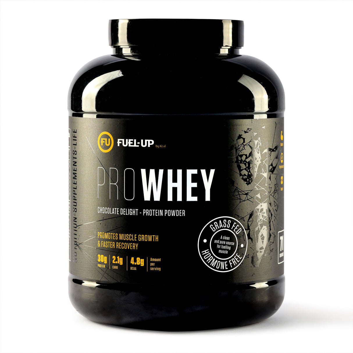 5 lb tub of chocolate flavoured whey protein powder