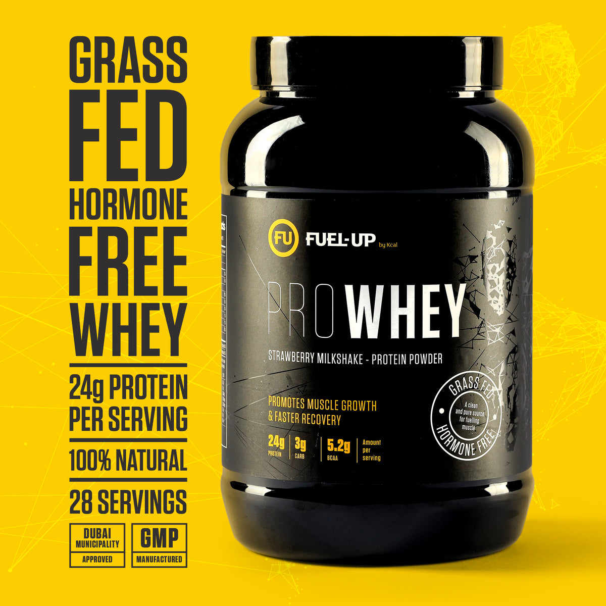 Pro Whey Protein - Strawberry Milkshake - 907 g (2 lbs)